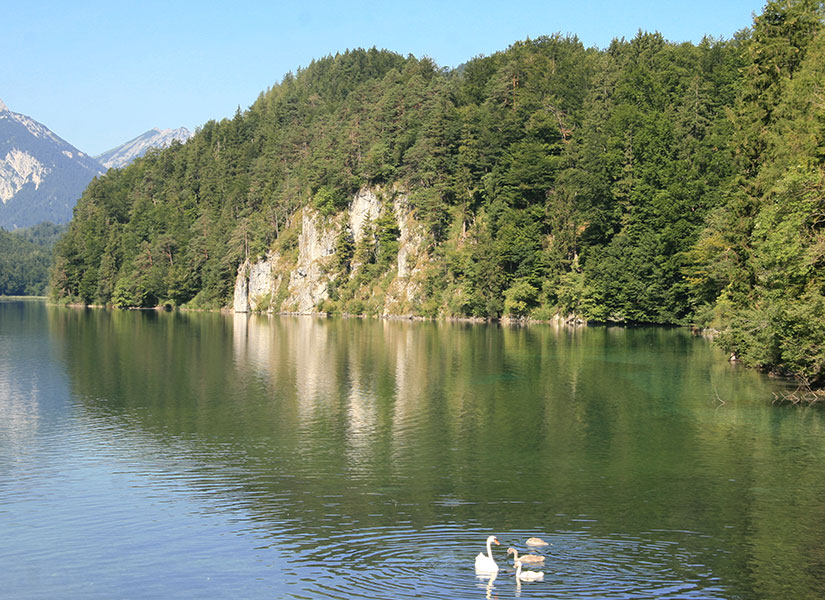 Alplerin gölgesinde...