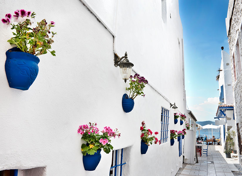 muglada alisveris (8)