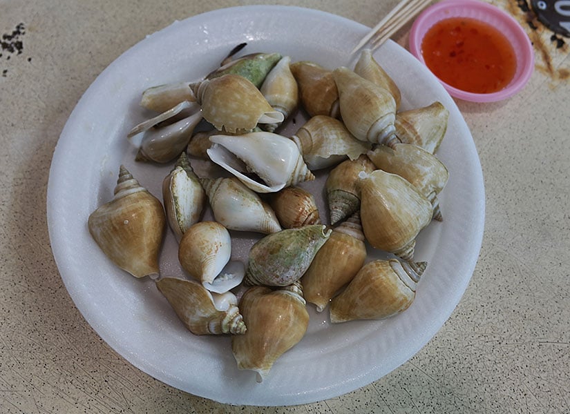 istiridyeli omlet (10)