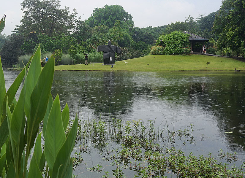 istiridyeli omlet (7)