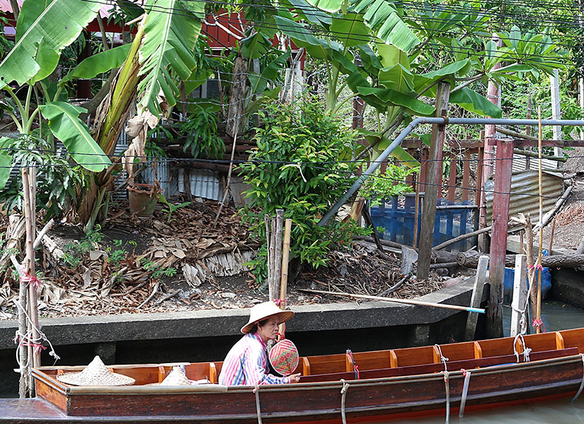 tayland meyveleri (1)