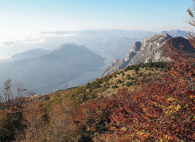 kotor (6)