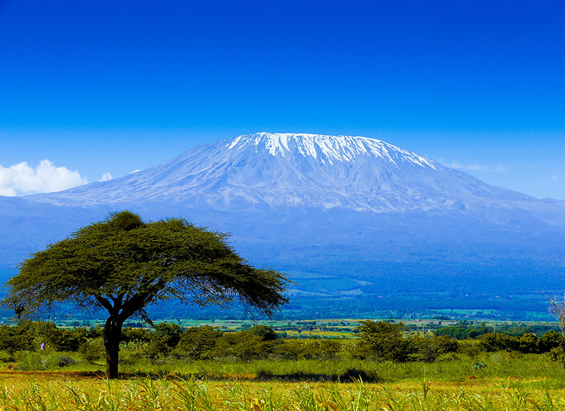 Afrika Kıtası'nın en yüksek dağı.