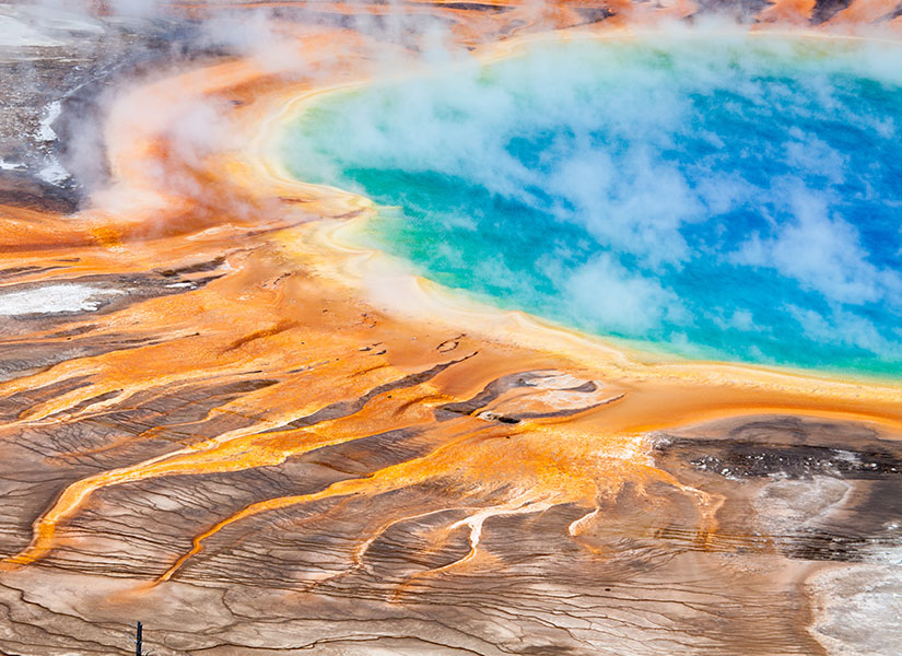 Rengarenk görünümüyle büyüleyici bir manzara oluşturuyor.