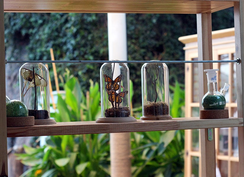 Konya gezilecek yerler, Tropikal Kelebek Bahçesi