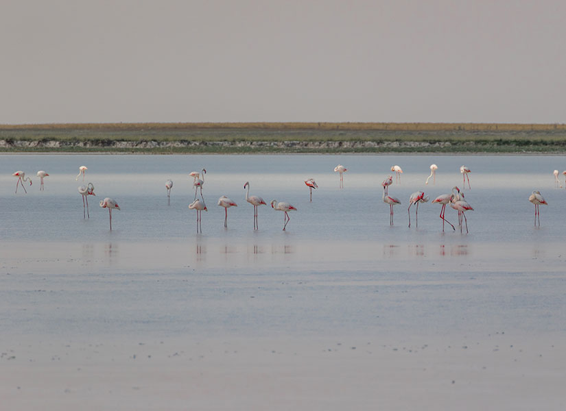 Konya gezilecek yerler, Tuz Gölü