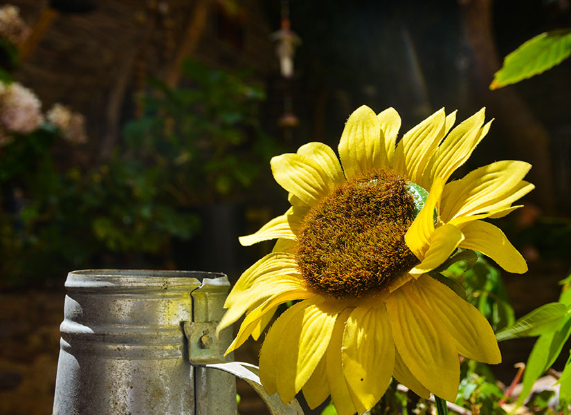 mart-ayinda-gezilecek-yerler-birgi-izmir