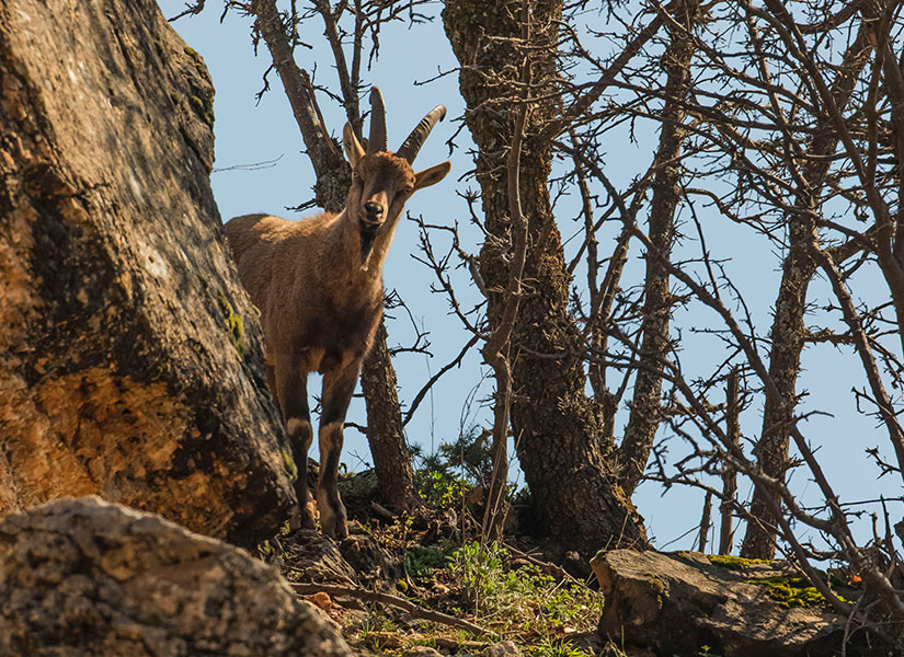 Elazığ'da gezilecek yerler