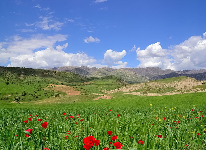 Şırnak’ta Gezilecek Yerler Şırnk yaylaları