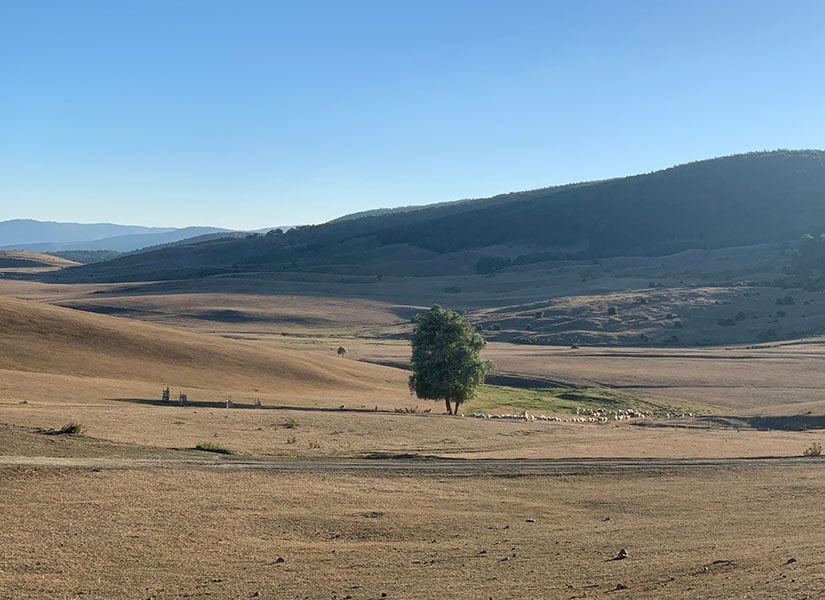 tokat-gezilecek-yerler-yayla