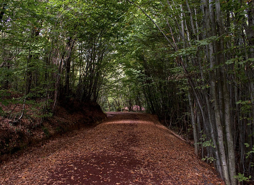 istanbula-yakin-tatil-polonezkoy