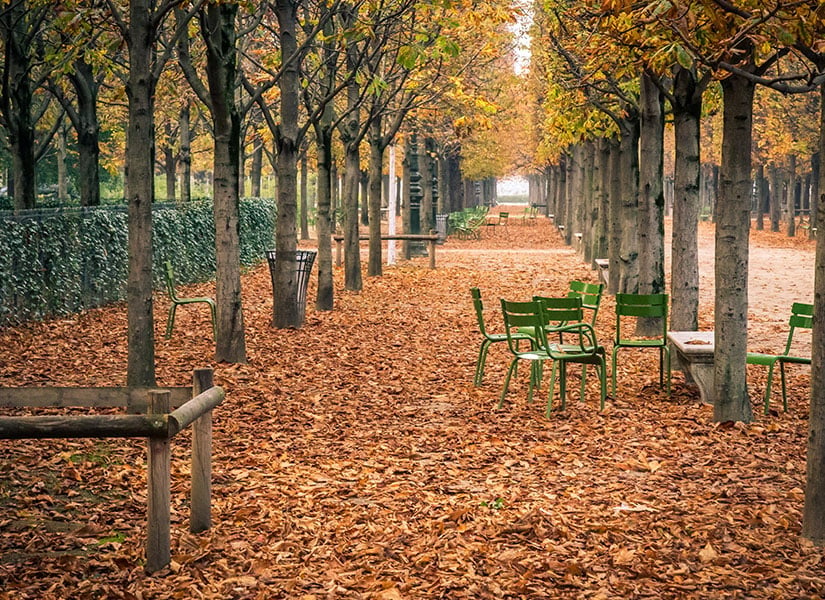 Sonbaharda Paris’te yapılacak şeyler