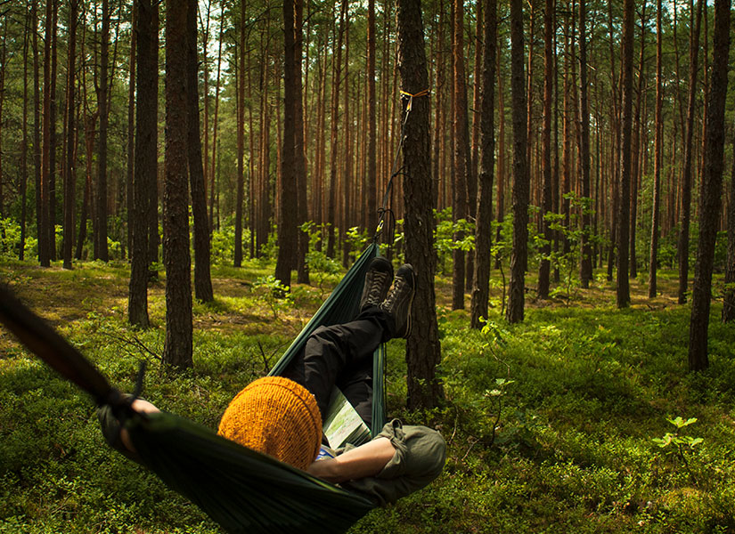 Yavaş Seyahat Anlayışı Nedir