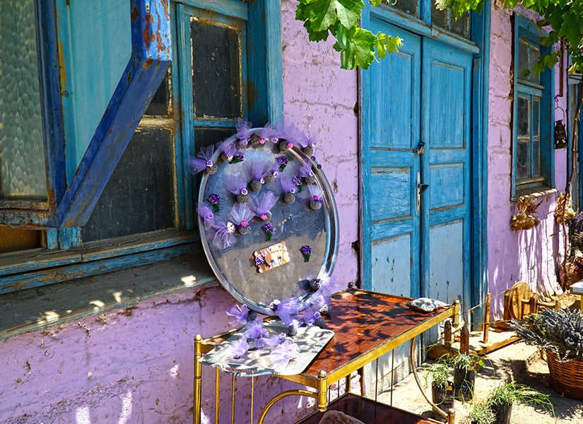 Lavanta Kokulu Köy Kuyucak Köyü Keçiborlu Isparta