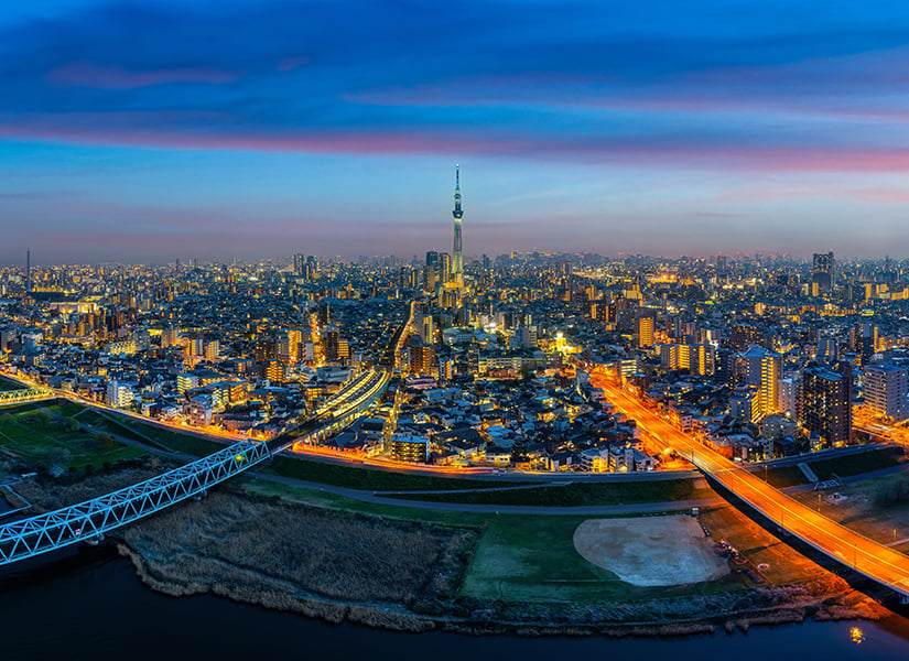 tokyo vize istiyor mu