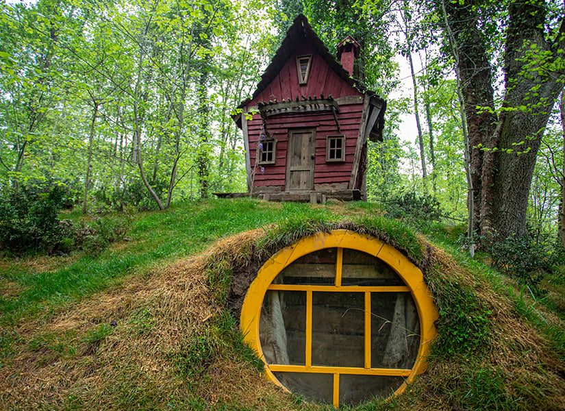 ormanyaya nasıl gidilir